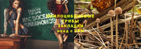 стаф Протвино