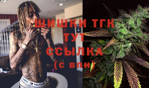 ПСИЛОЦИБИНОВЫЕ ГРИБЫ Приозерск