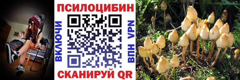 МЕГА сайт где продают наркотики darknet клад Галлюциногенные грибы MAGIC MUSHROOMS Бежецк