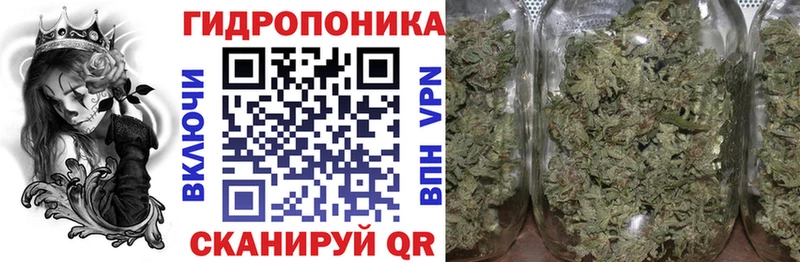 Марихуана планчик  купить  цена  Бежецк 